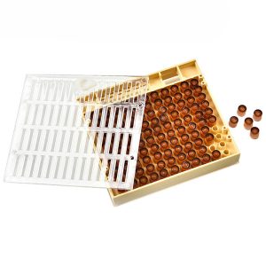 Bee Queen Rearing Box for Beekeeping Management and Breeding