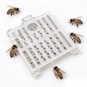 Queen Bee Transport Cage for Beekeeping Hive Management